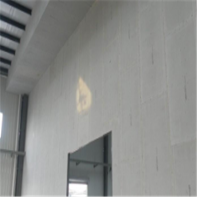 泸水宁波ALC板|EPS加气板隔墙与混凝土整浇联接的实验研讨